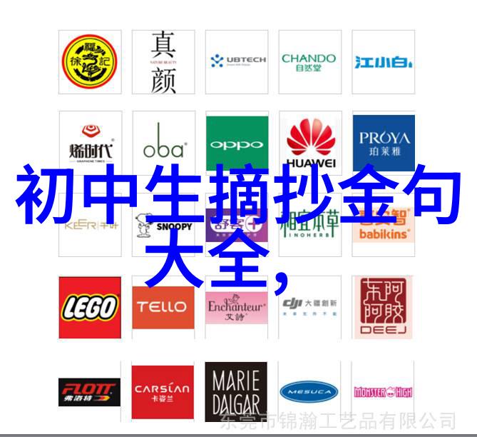 逆袭之星从底层工厂到CEO的辉煌征程