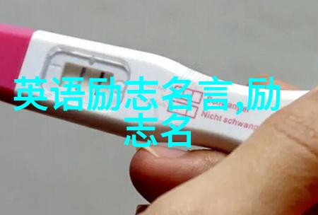 陈毅豪与他那不凡的一生高山滑雪中的英雄故事