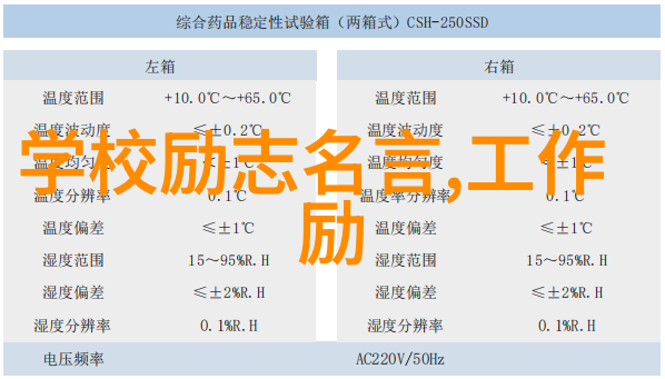 90后青年楷模人物孙红雷有哪些经典名言语录