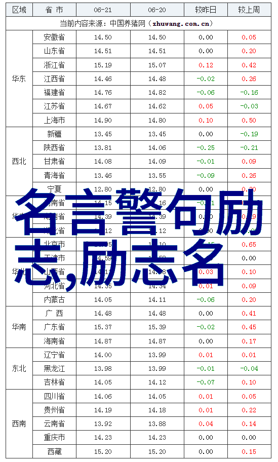 励志感人故事我的篮球梦想从此起航