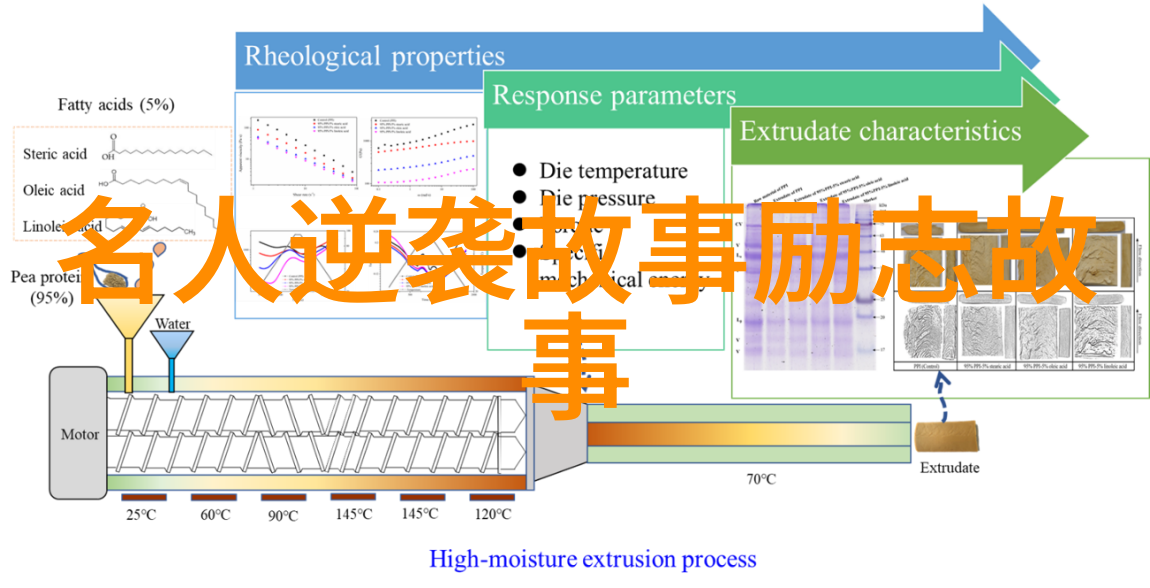 泰坦尼克号上的幽默之旅当爱船遇上笑声