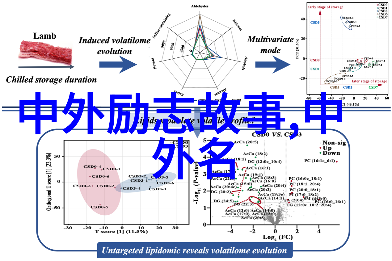 永不放弃的力量