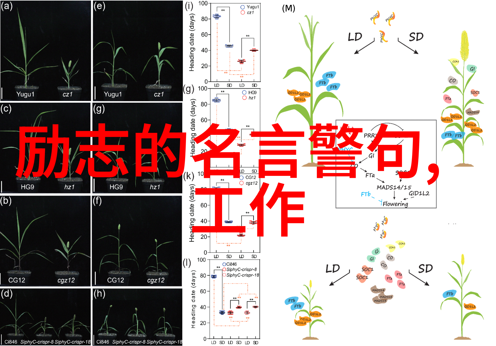 黑丝鲁管白色液体我的奇幻实验室日记