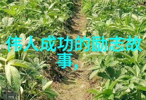 情感交融谈恋爱的基本常识与人际关系艺术