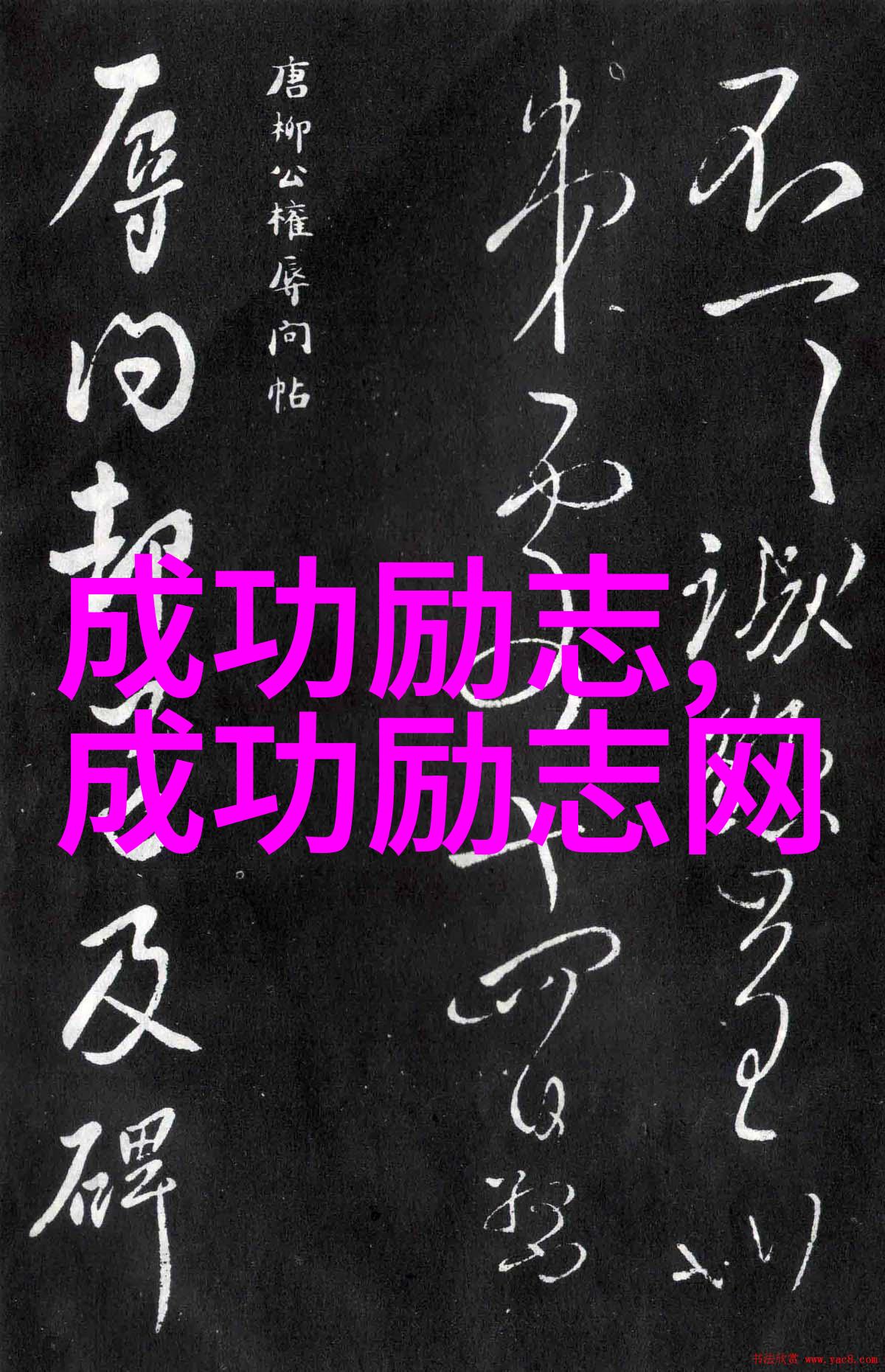 断舍离经典语录我是如何用一句东西放得下心也放得下的理念彻底变身的