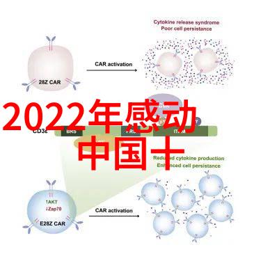 励志名言名句大全 - 突破自我激励人生每一个关键时刻