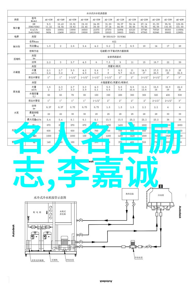 爱的哲学情感探索与心灵共鸣