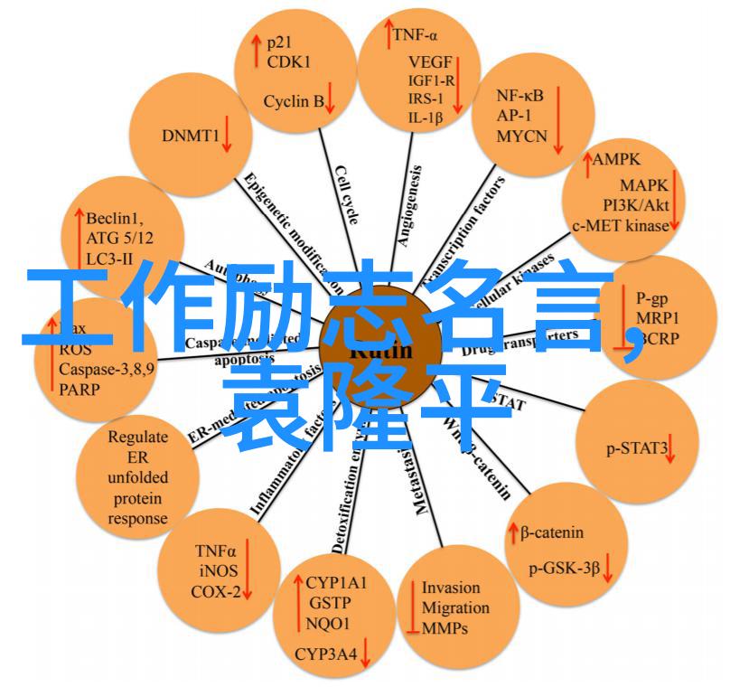 网络经典语录探究解读互联网文化中的智慧与幽默