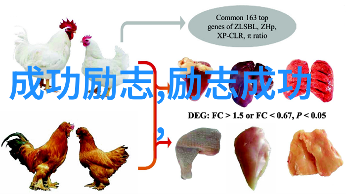 励志名言名句大全-李鸿章的奋斗精神