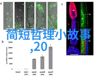 乔布斯经典语录探究剖析其在商业创新与领导力中的影响