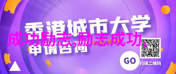 在追求梦想时名人们遇到了哪些挑战