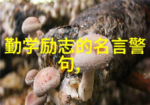 一天一句名言激励心灵最动人的10句经典语录