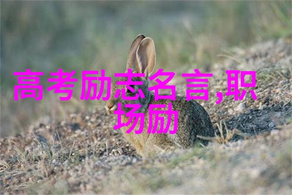 逆袭之王一个普通农民的成功励志故事