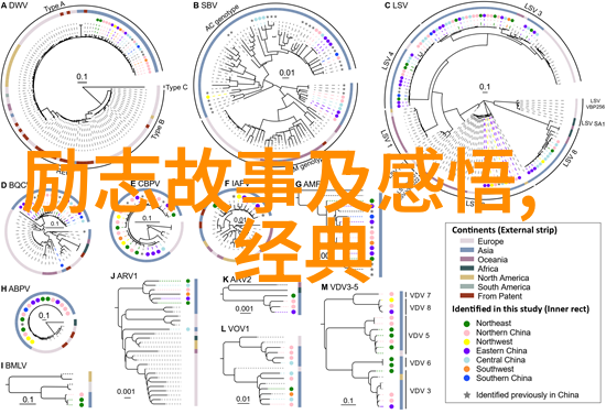 迷雾中寻觅心灵灯塔经典语录揭秘