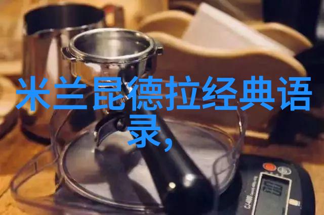 星光下的力量偶像与粉丝的无限旋律