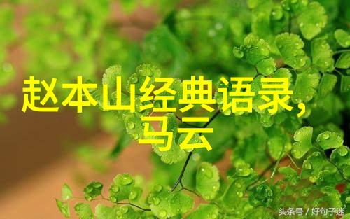 甜蜜誓言用情话绘制爱的篇章