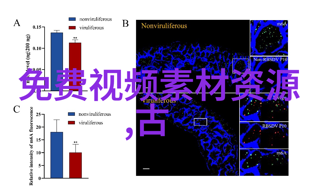 宫廷沉浮甄嬛传中的逆袭与孤寂