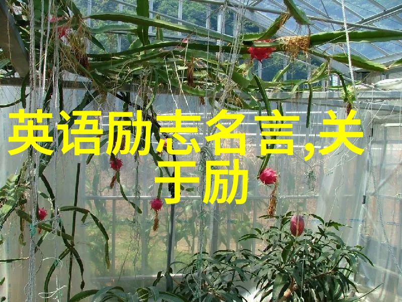 古医圣励志篇 - 孙思邈中药大师的生活哲学