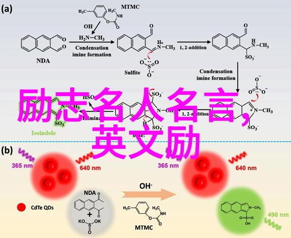 春风化雨中的经典语录捕捉季节诗意的言辞