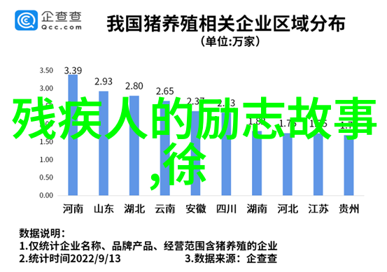 理想信念的守护者梦之桥上的跳跃者