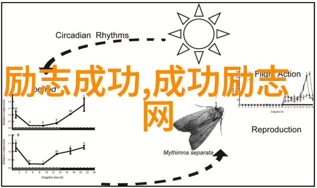 爱与邪恶的交响曲