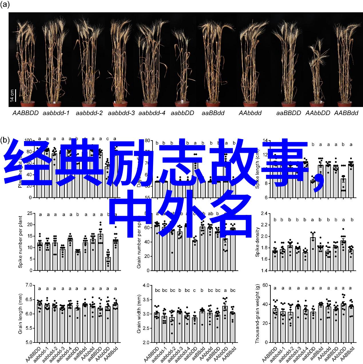 中外名人励志故事简短 - 创世纪的编织者埃莉恩达雷尔的无声胜有声