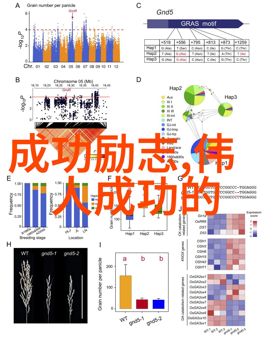 职场励志小故事一生只跳一次槽的勇者