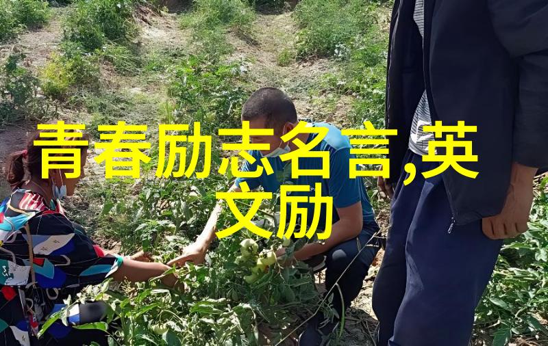 马云经典语录-激励不懈解读阿里巴巴创始人的成功智慧