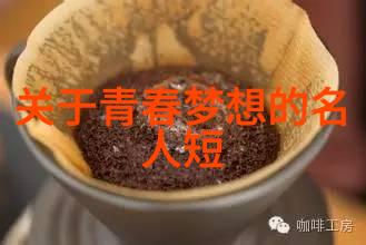 追梦者逆境中的坚韧与飞翔