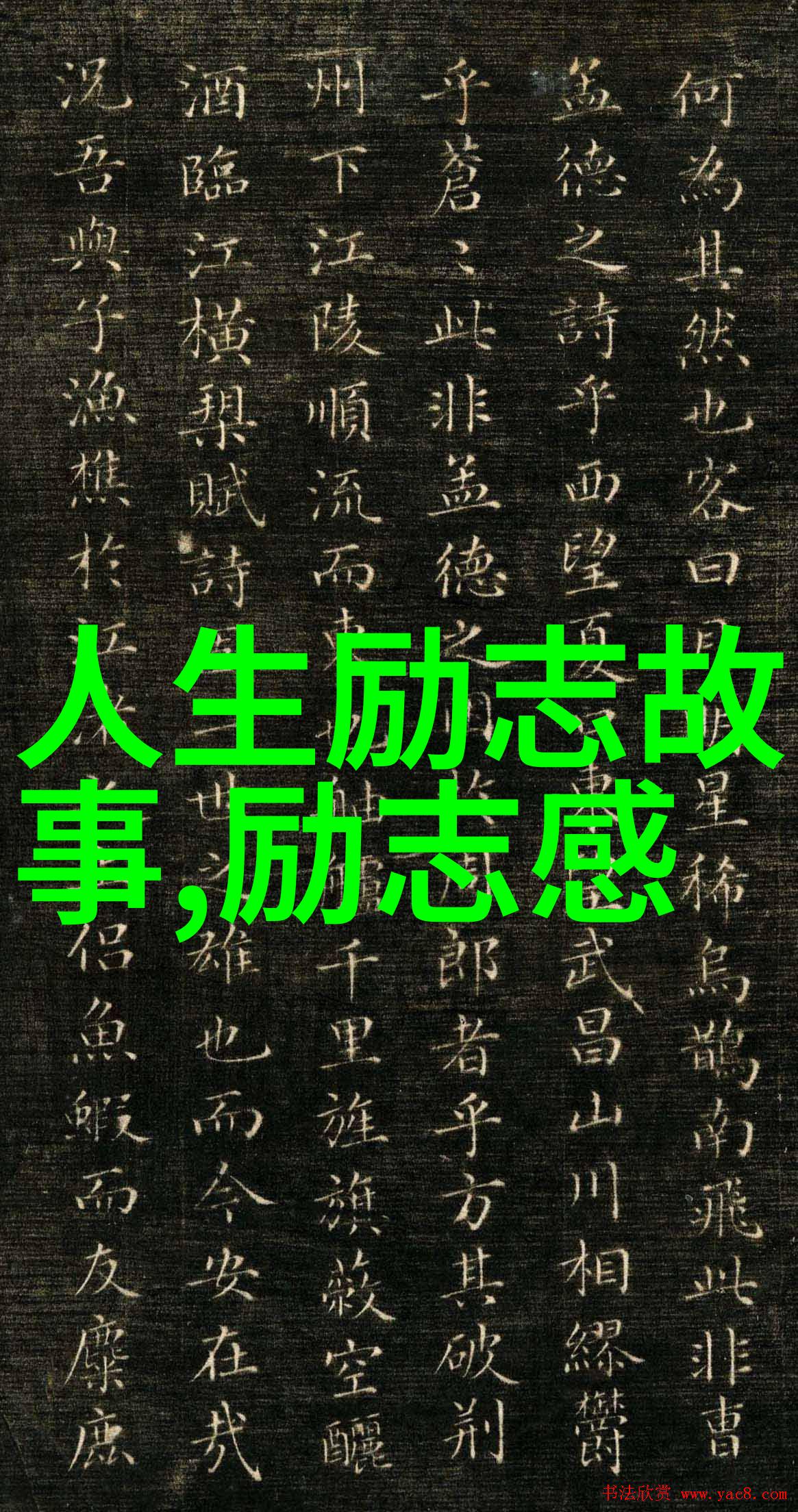 种子在心中成果在世间袁隆平的农业智慧与人生哲学