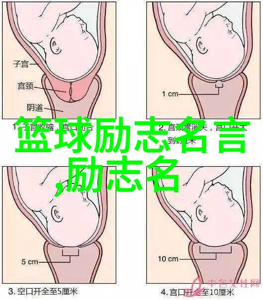 林语堂经典语录中哪句话最能引发我们对传统文化的深入思考