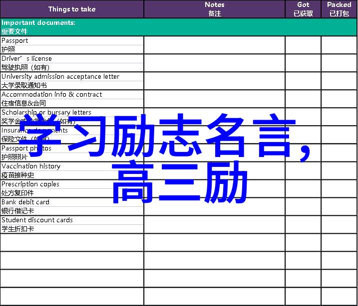 偶像激励粉丝的故事一位歌手的慈善之旅