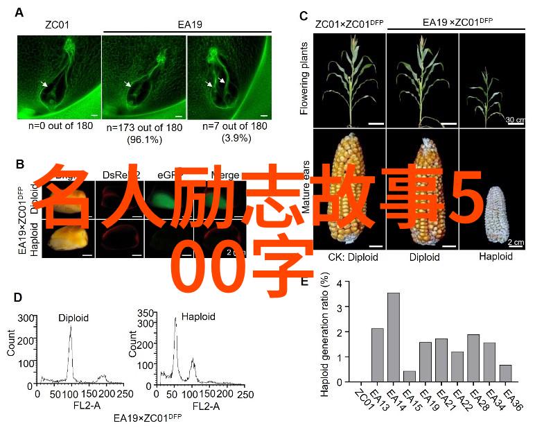 偶像激励粉丝的例子-李宇春舞台之星灵感之源