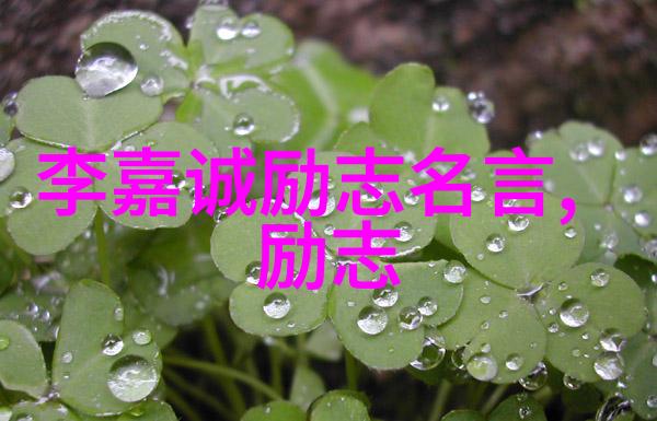 韩寒经典语录-追梦者韩寒不畏风雨的灵魂