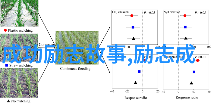 张小龙是如何在技术和创意上取得成功的