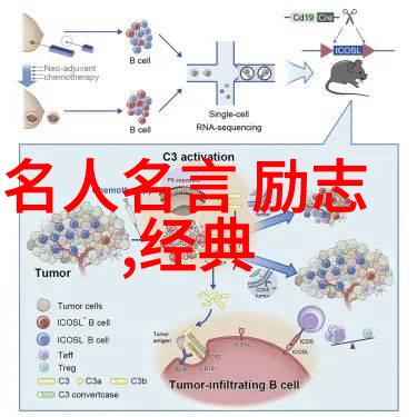 家庭大杂乱经典语录-家风不衰回忆那些让人忍俊不禁的家庭笑话