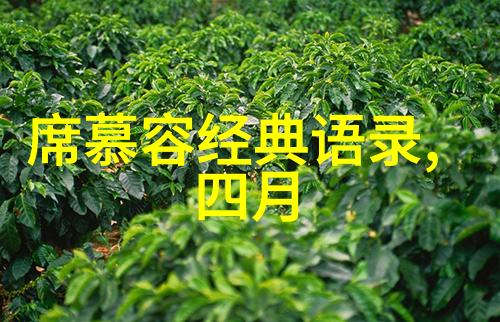 文化传承者许小姐和她的古典音乐启蒙计划