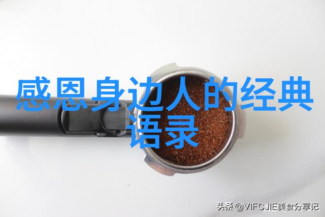 诗人的激情与理性的对话雪莱歌德与浪漫主义文学革命