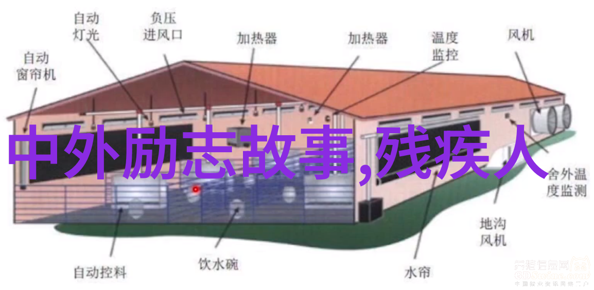 90后中国梦的代言者追踪十大杰出青春故事