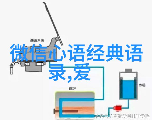 她是怎样通过坚持和努力成就事业高峰的