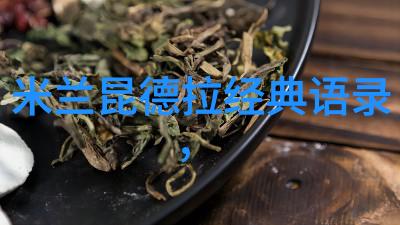 老夫子与淑女的故事全文探究