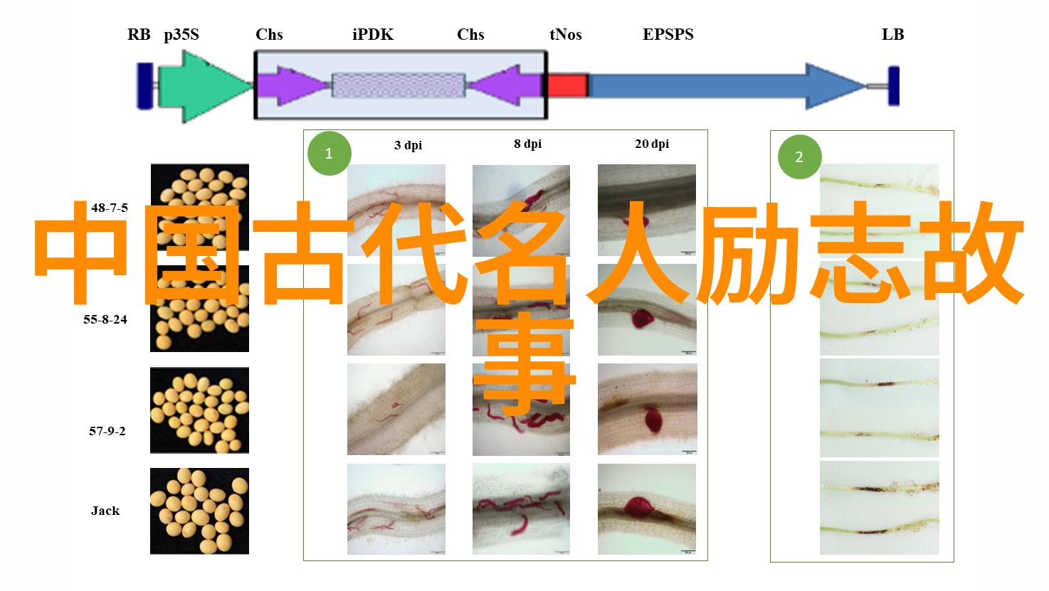 夸张学习励志名言让残疾人文化体育精神超越极限