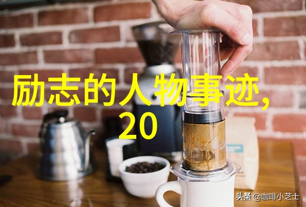 关于奋斗名人事例-李斯特费伦茨钢琴大师的不懈追求