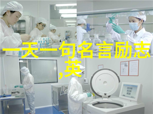 上流社会-风雨无阻揭秘上流社会未删减版的真实面貌