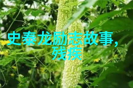 在忙碌中找到平衡三十分钟怎样促进个人成长