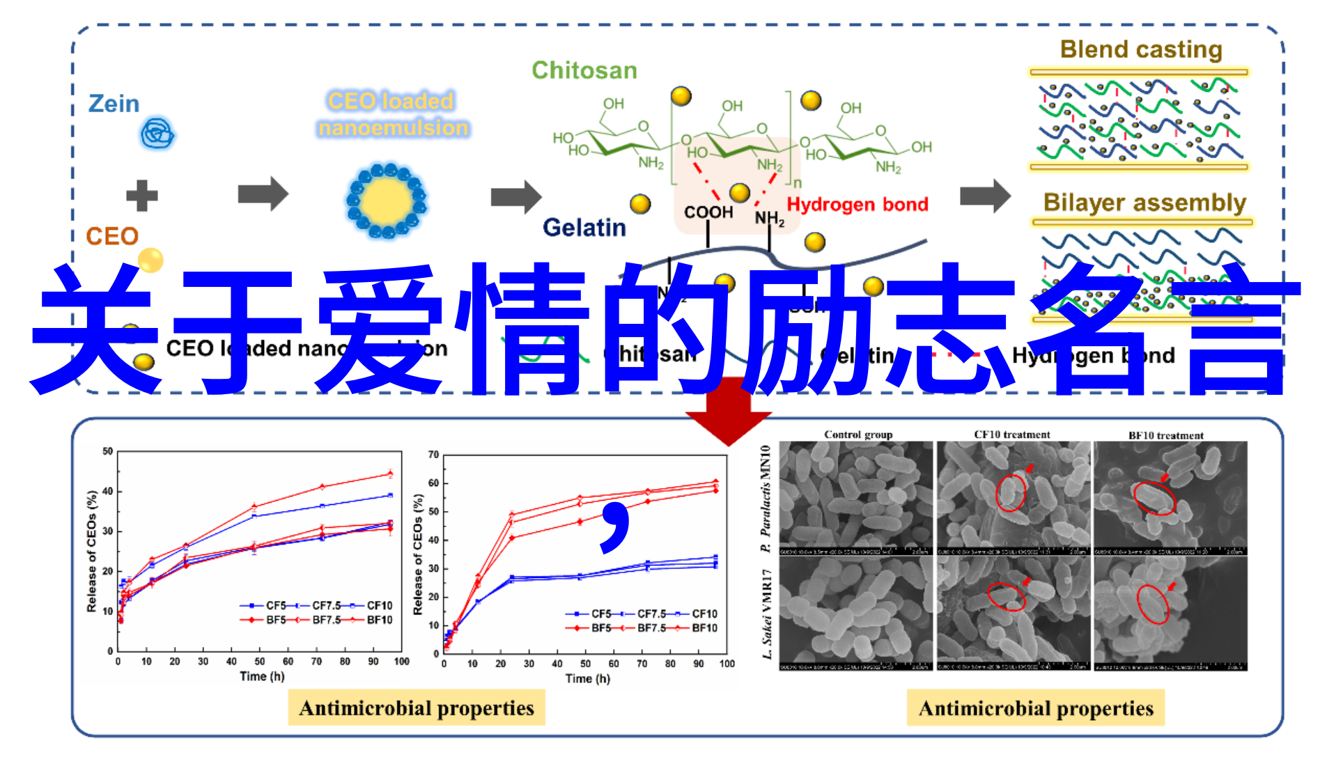 中外名人励志故事简短 - 李小龙从街头摔角到武侠电影巨星的逆袭