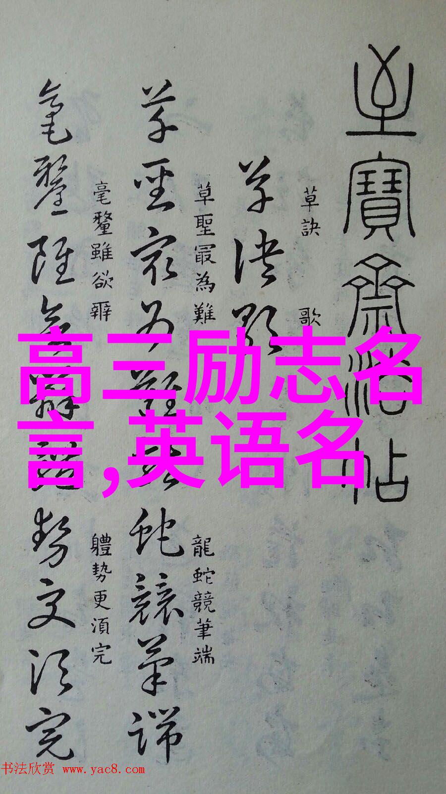 濮存昕如同永不停歇的星辰努力地照亮前行的道路中外名人读书的故事编织成一幅比喻丰富的人生画卷