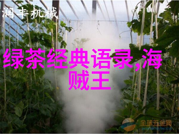 梦想起航比尔盖茨如何创造微软帝国