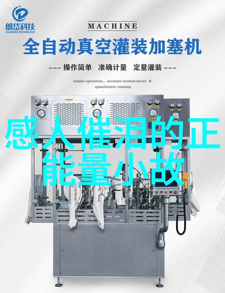 王小波深邃思想王小波的哲学思考与文学创作