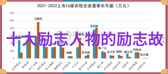 数码女王她如何在男性主导行业崭露头角